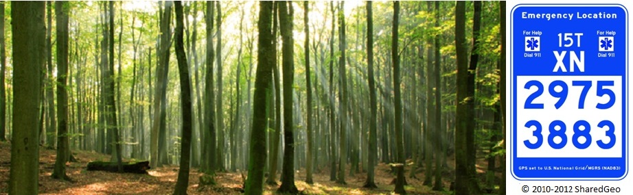 Forest with US National Grid Sign (copyright SharedGeo 2010-2012)