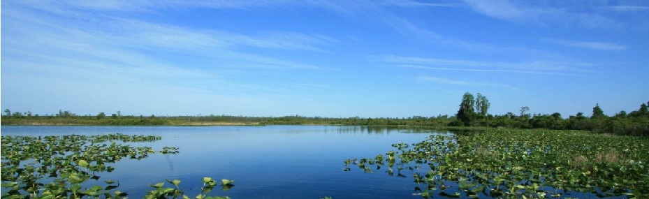 Wetlands
